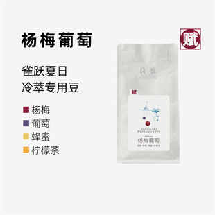 夏季 新品 良致 杨梅葡萄 限定耶加雪菲冷萃咖啡冰手冲咖啡豆200g