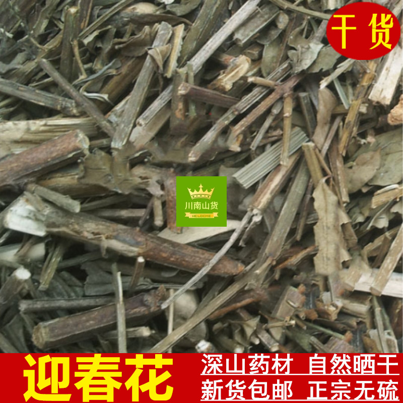 迎春花金腰带小黄花中药材