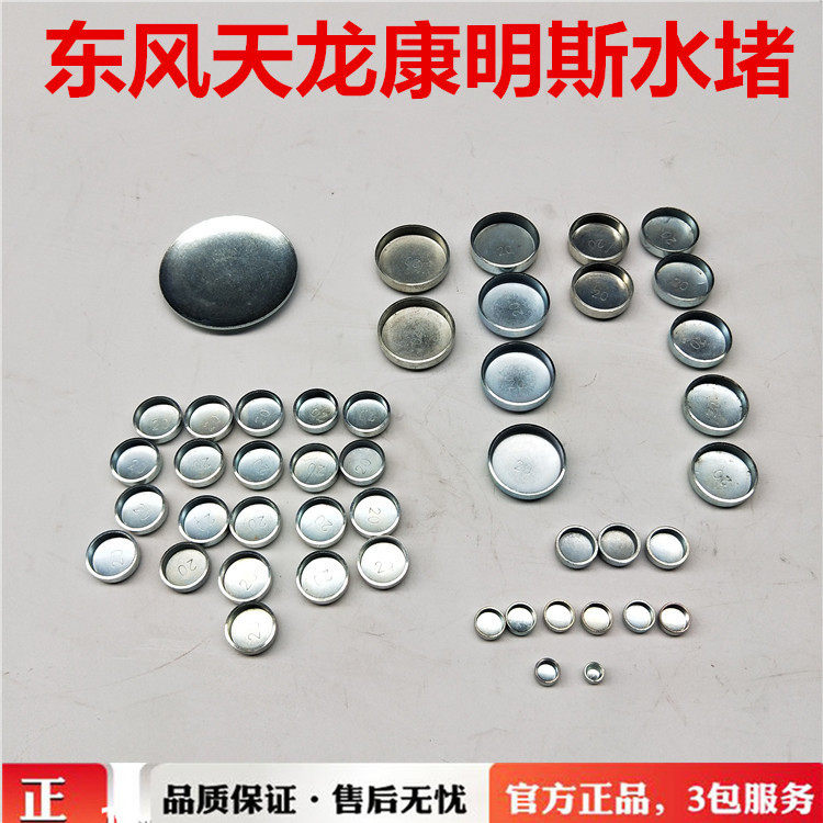 东风天龙315睡一觉水堵