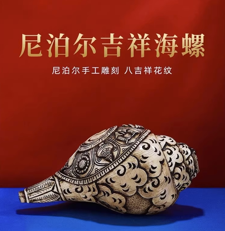 尼泊尔进口海螺摆件手工八吉祥浮雕海螺居家八供养供具用品18cm