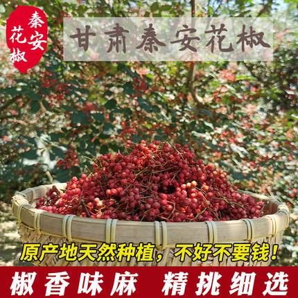 甘肃天水花椒秦安花椒大红袍花椒无籽花椒麻椒