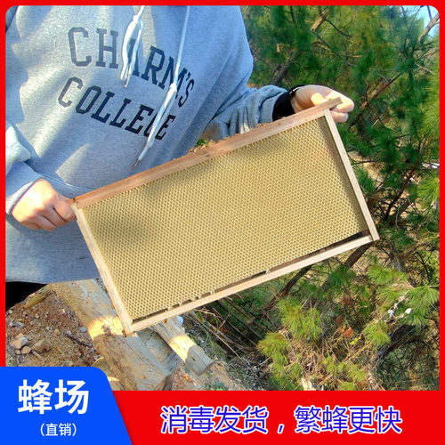 中蜂巢脾成品繁殖造好