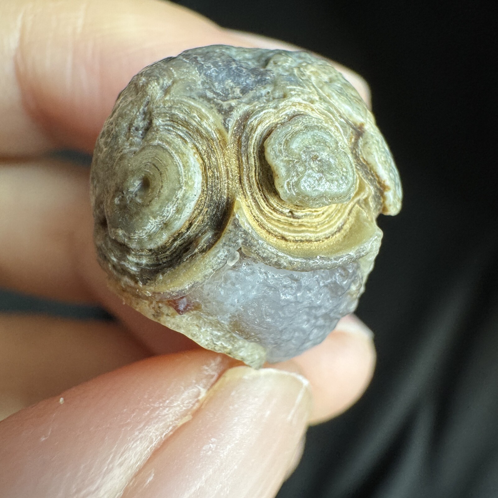 2.1cm 眼睛石 天然戈壁玛瑙原石-4043