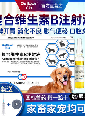兽用复合维生素B注射液畜禽宠物