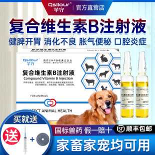 兽用复合维生素B注射液兽药猪牛羊犬猫兔健胃消食反刍开胃口腔炎