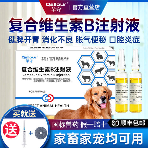 兽用复合维生素B注射液畜禽宠物