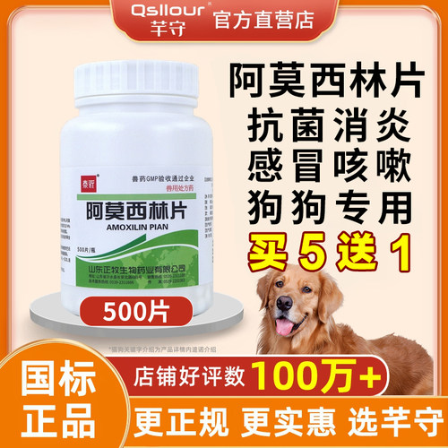 阿莫西林片宠物专用猫狗感冒药