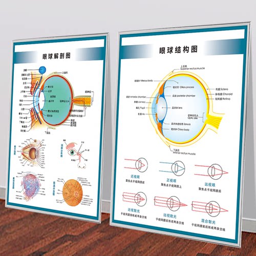 眼镜店眼科知识装饰挂画海报