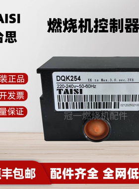 烧嘴程序控制器DQK254印染定型锅炉燃气程控盒燃烧机配件点火器