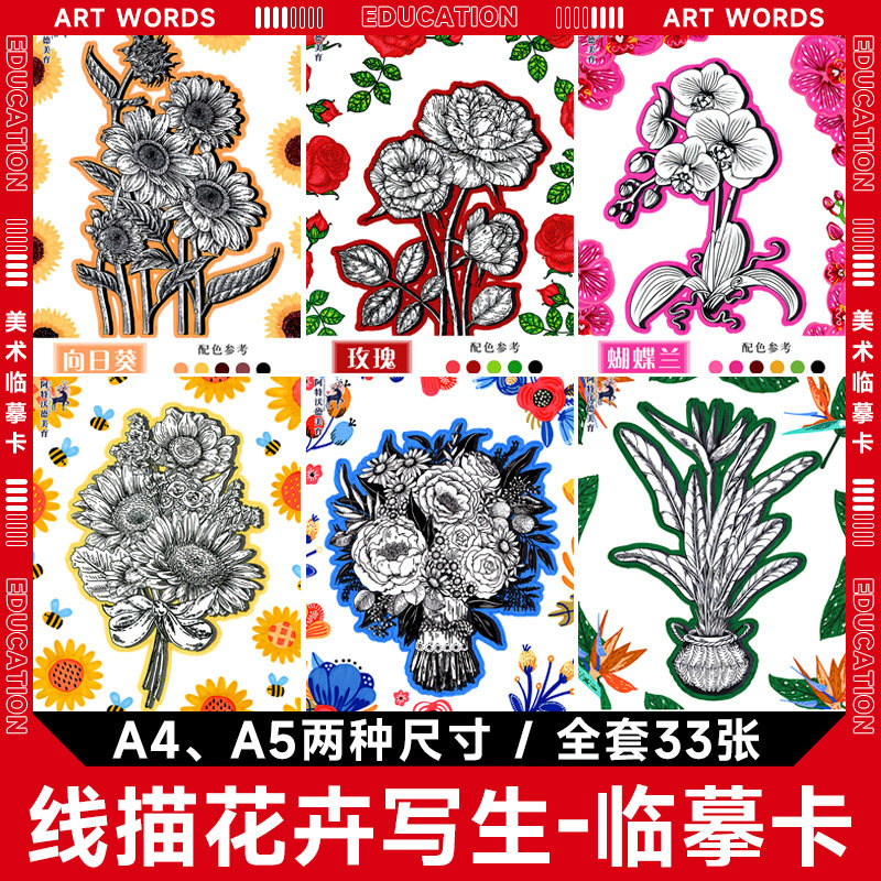 原创手绘色彩线描花卉写生系列美术临摹卡高清范画素材学生绘画室