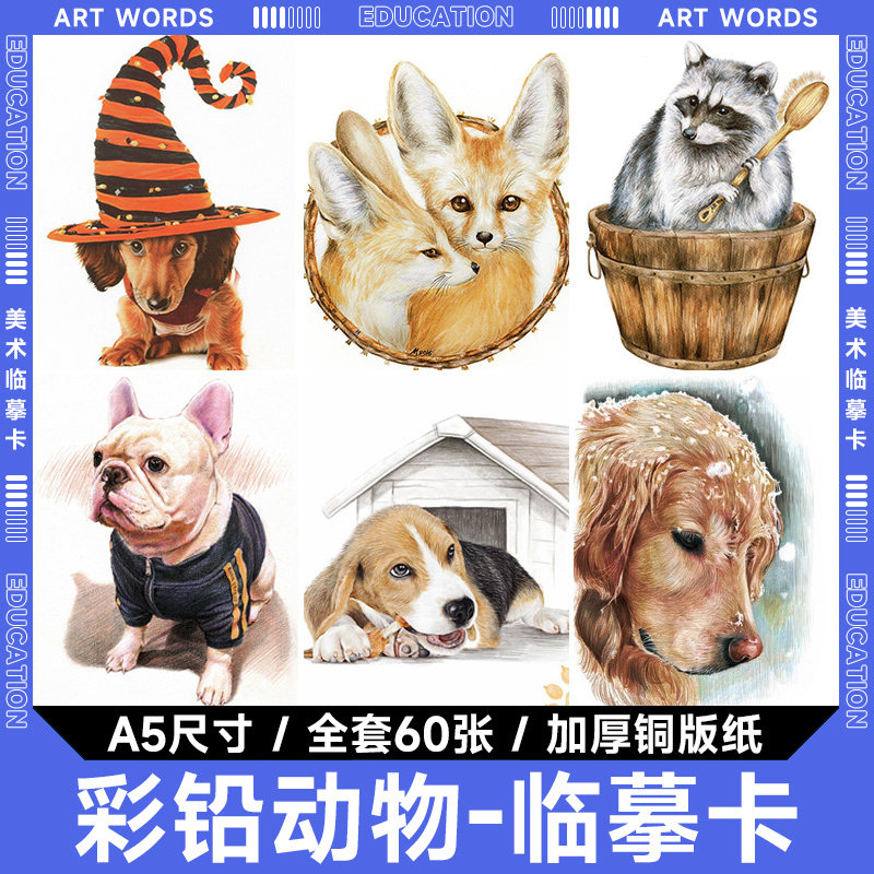 彩铅动物创意少儿美术临摹卡片素材彩色萌宠物卡通猫狗中级范画