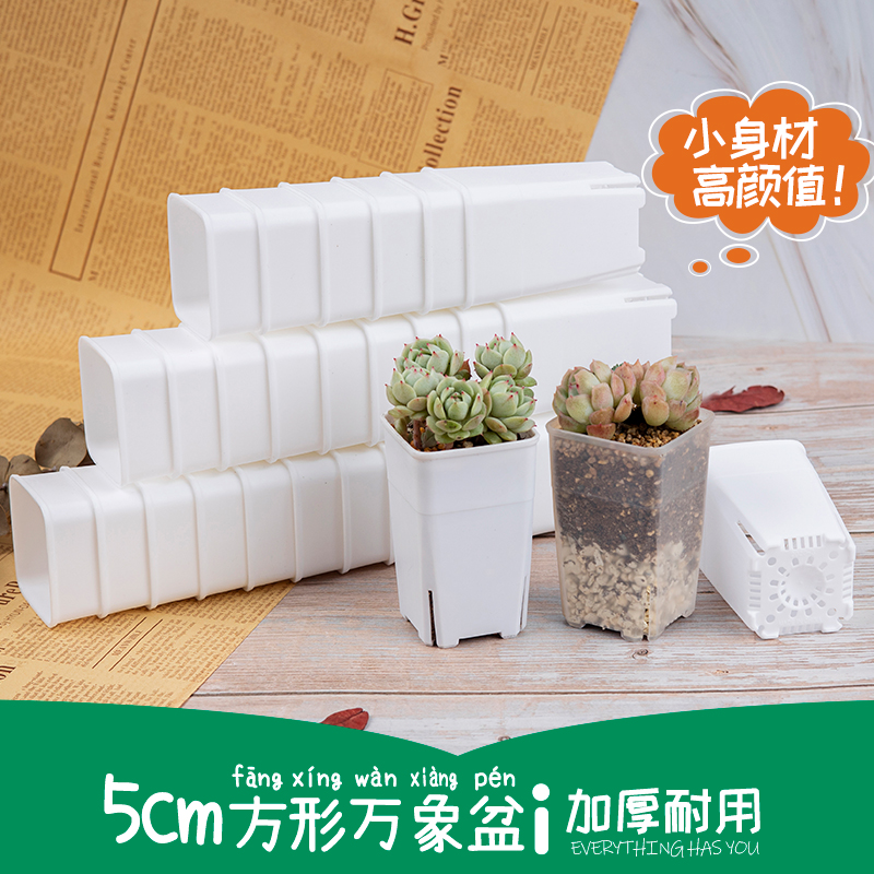 方形万象盆特小号5cm侧开孔小白方多肉花盆塑料迷你加厚高拇指盆