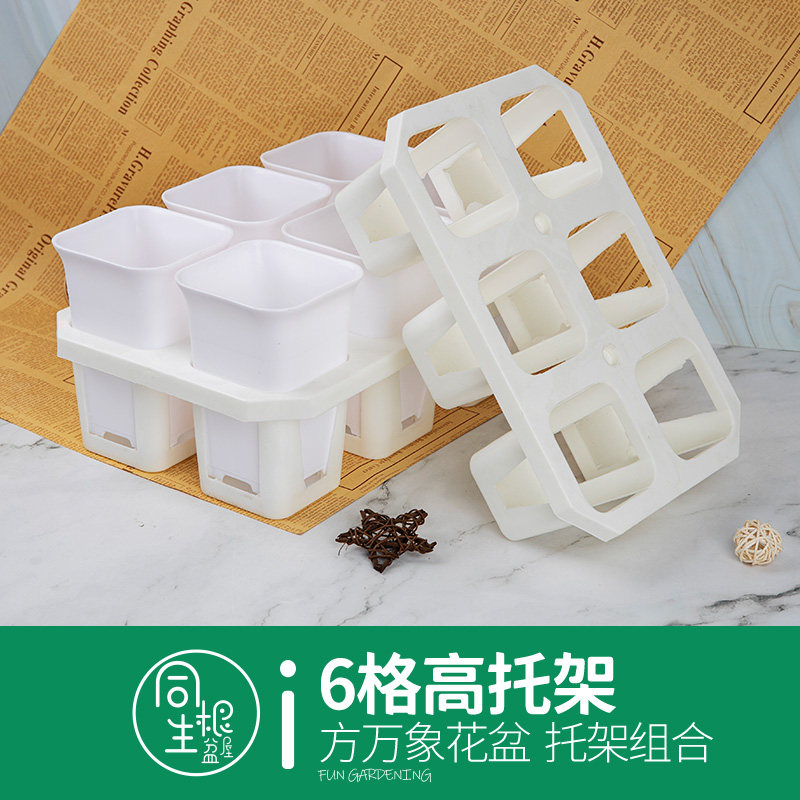 多肉花盆带托架万象盆方形大口径玉露仙人球块根盆塑料花盆底托,鲜花速递/花卉仿真/绿植园艺,花盆,淘宝优惠券,粉丝福利购,淘宝优惠卷