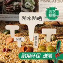 多肉标签T型插牌小标注神器园艺植物花卉标签塑料防水标记标识牌