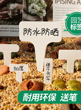 多肉标签T型插牌小标注神器园艺植物花卉标签塑料防水标记标识牌