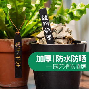 植物标签多肉块根仙人球插牌园艺绿植花卉标签塑料加厚小号插地牌