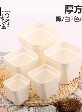小黑方多肉花盆小号塑料白方盆景天花盆迷你加厚多肉方盆仙人球盆
