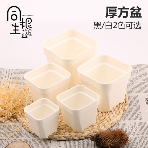 塑料白方迷你加厚多肉花盆