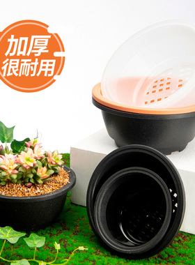 多肉塑料花盆圆形宽口矮胖盆小号群生多肉拼盘大口径花盆加厚包邮