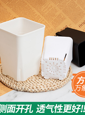 同根生多肉花盆新方万象盆日式万象盆侧面开孔透气性好加厚万象盆