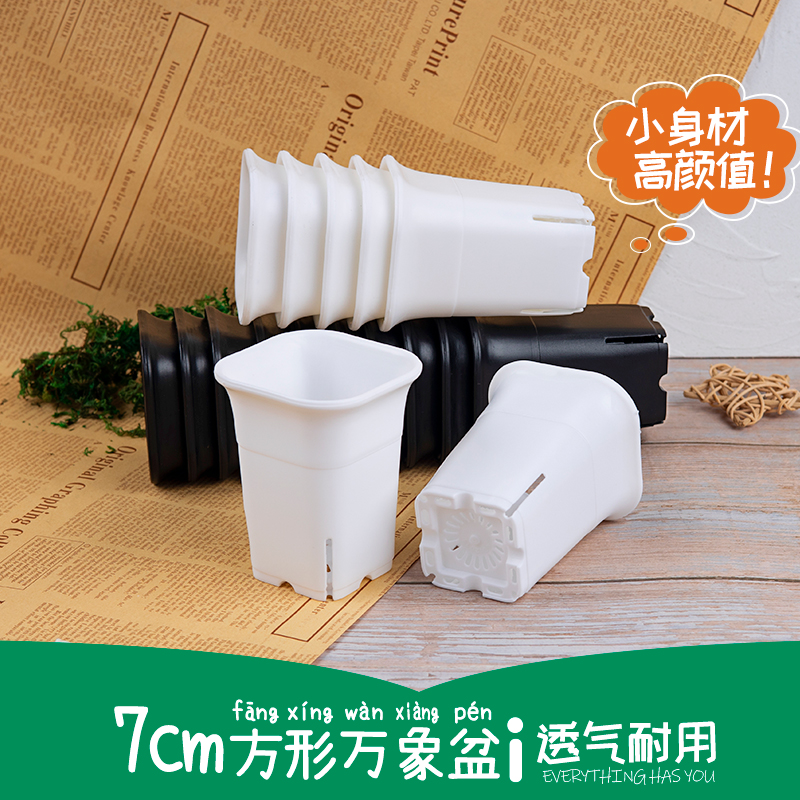 迷你小玉露多肉万象盆方形高款韩式加厚塑料宽口桃蛋控根花盆架子