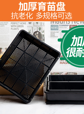 塑料多肉育苗盘小号耐用加厚叶插盆播种器育苗托盘闷养盆可选带盖