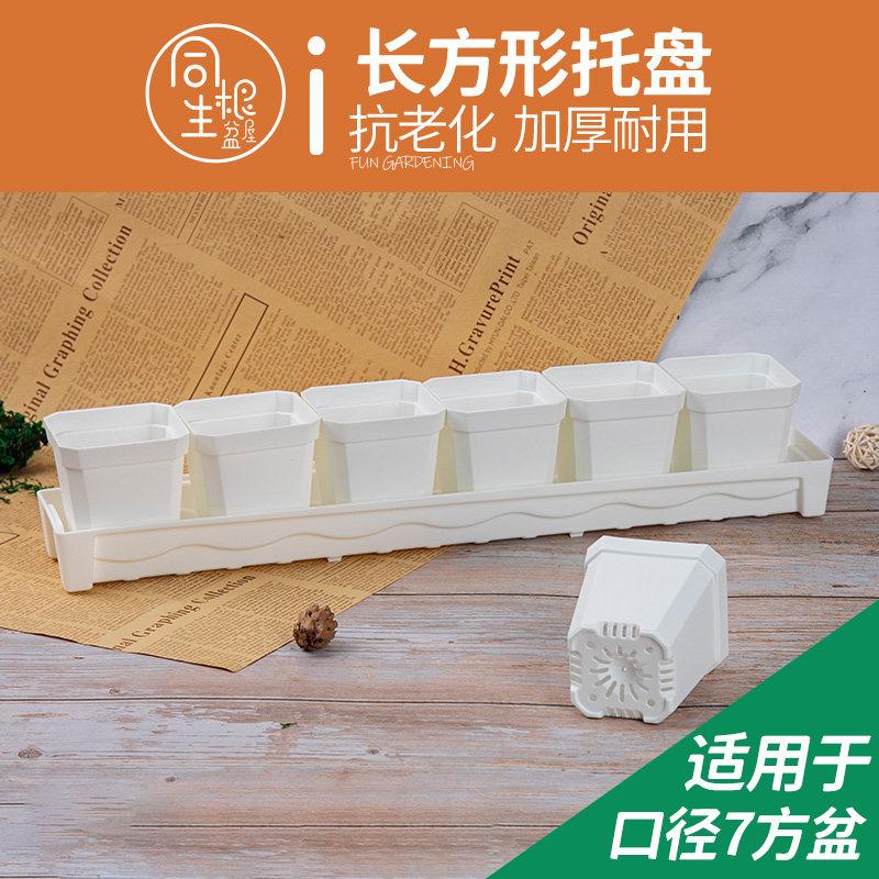 花盆托盘长方形塑料加厚蓄水接水底座多肉7方盆植物收纳整理浸盘
