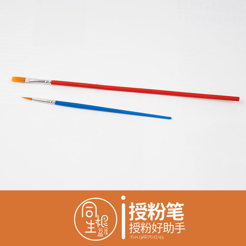 多肉植物专用授粉笔打
