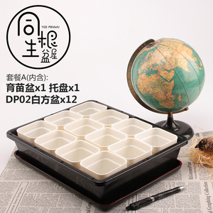 爱丽丝S5多肉植物IRIS组合盆长方形带托盘育苗箱套餐套装同根生