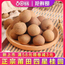古田妹4A桂圆干500g新货肉厚福建特产莆田龙眼干货桂圆肉干非无核