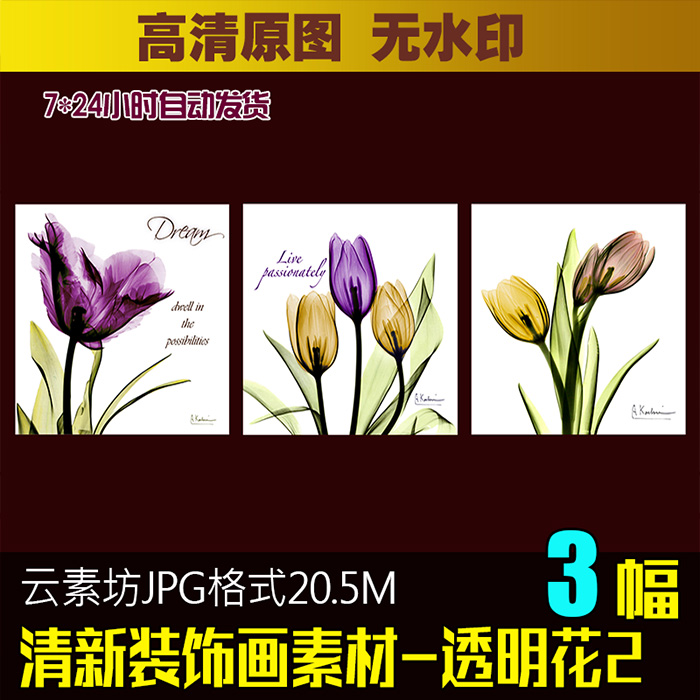 现代小清新装饰画素材客厅背景墙画芯喷绘图片高清图透明花卉植物