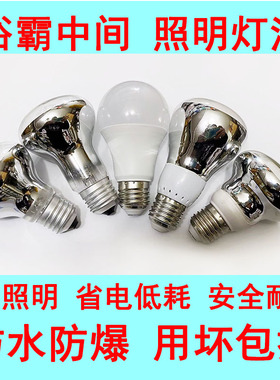 浴霸中间照明灯泡40W家用浴室暖光LED防水防尘防爆卫生间专用灯