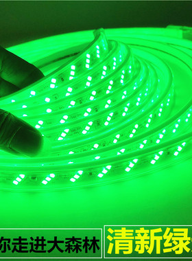 LED灯带条绿色220V绿光灯带户外防水超高亮公园绿植亮化装饰线灯
