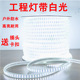 led灯带条家用户外防水超高亮白光灯带室外外墙工地隧道照明220v