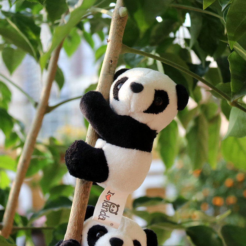 可夹富贵竹歪头熊猫毛绒夹子小玩偶玩具公仔成都文创纪念品小礼品,玩具/童车/益智/积木/模型,毛绒/玩偶/公仔/布艺类玩具,淘宝优惠券,粉丝福利购,淘宝优惠卷