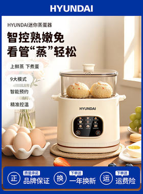 煮蛋器小型蒸蛋预约定时多功能