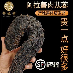 阿拉善肉苁蓉整根油性内蒙古送中药材锁阳淫羊藿枸杞泡酒料