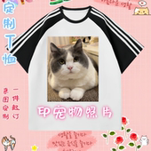 宠物定制t恤衫 diy上衣服印图logo文字打印猫咪狗狗照片订制做短袖