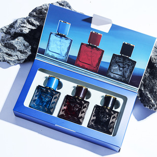 Luxury Brand Perfume set for men gift Long Lasting 3*30ml