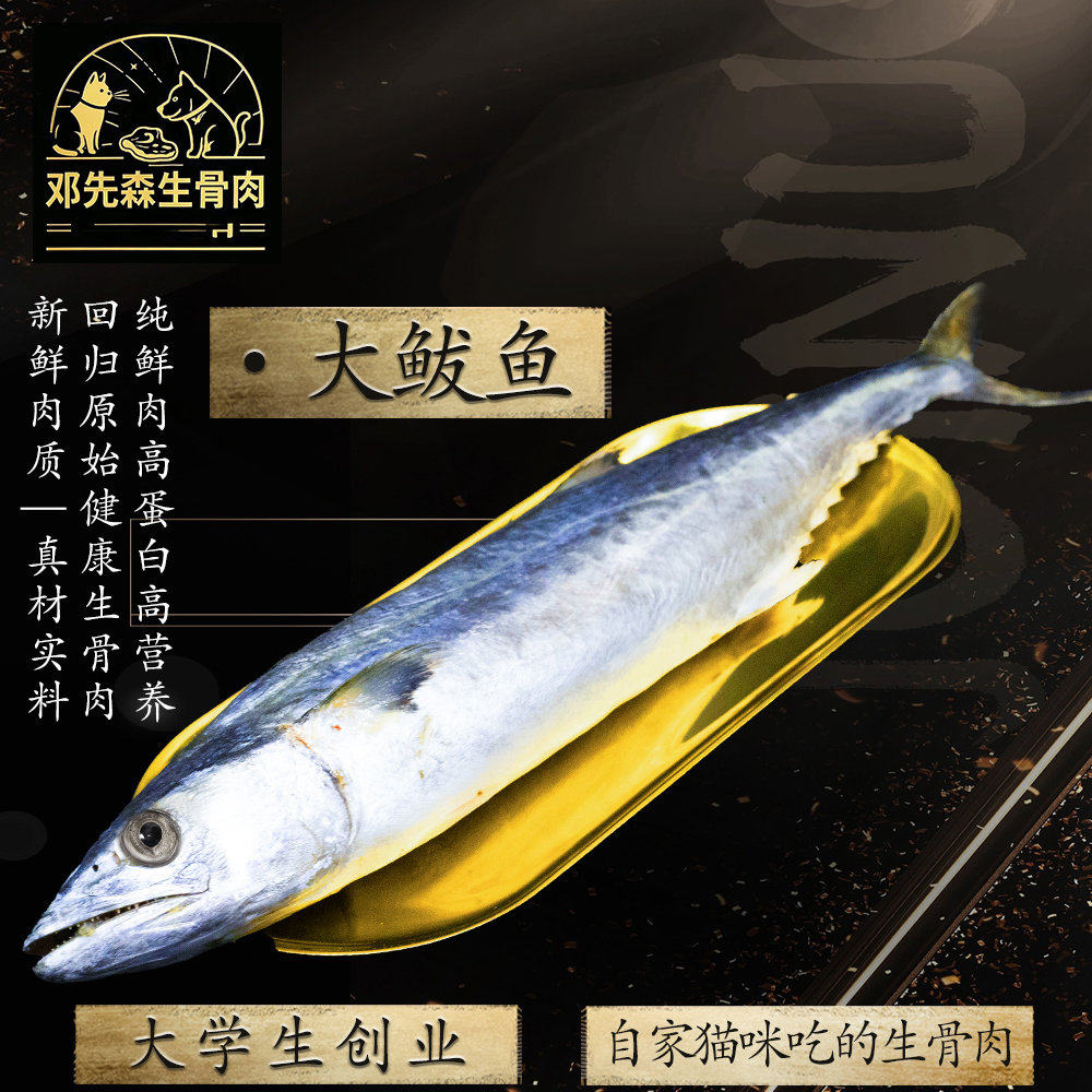 《顺丰冷运》新鲜冷冻 马鲛鱼春鲅鱼 整条450克到500克左右,宠物/宠物食品及用品,猫全价冷鲜粮,淘宝优惠券,粉丝福利购,淘宝优惠卷