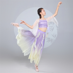 儿童古典舞飘逸纱衣演出服小熙儿同款仙气中国舞艺考表演练功服