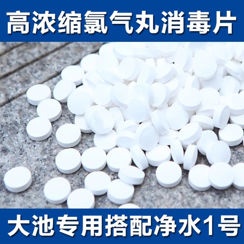 浴场桑拿大池氯气丸消毒片药游泳池氯气丸粉2克速溶泡腾氯片强氯 运动/瑜伽/健身/球迷用品 游泳池 原图主图