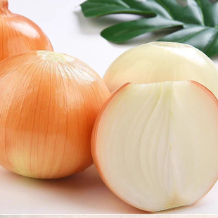 黄皮洋葱批发山东特产元 葱蔬菜洋葱农家葱头自种产地直销5斤圆葱