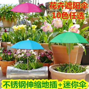 植物遮阳伞花卉盆栽防晒伞银胶隔热户外铝合金伸缩地插小型钓鱼伞