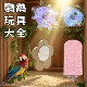 鹦鹉玩具解闷大全鹦鹉磨爪站台学舌神器鸟窝虎皮牡丹小太阳珍珠鸟