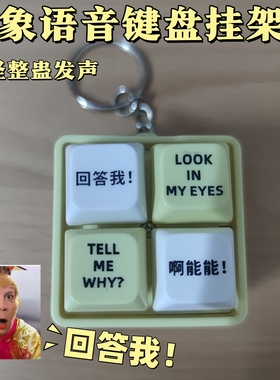 回答我经典语录tell me why四格按键发音玩具钥匙扣搞笑钥匙扣