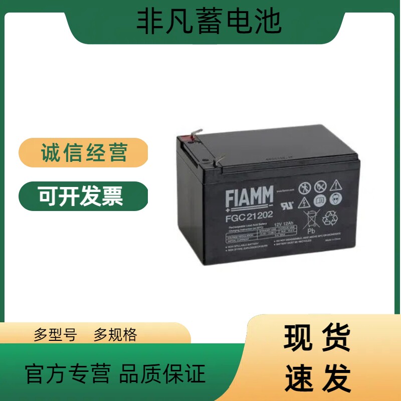 非凡蓄电池12V200AHUPS/EPS监控机房专用铅酸免维护消防主机