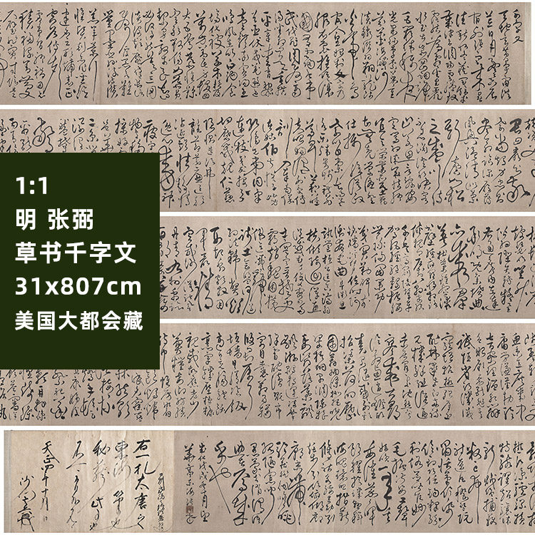 1:1 明 张弼 草书千字文长卷 真迹复制品31x807cm美国大都会藏 品
