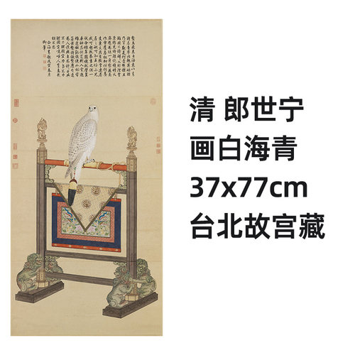 清 郎世宁 画白海青 真迹复制品37x77cm台北故宫藏清代画院花鸟画 - 封面
