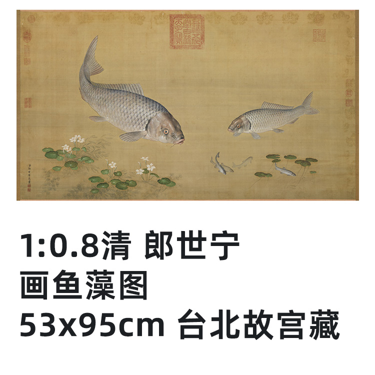 清 郎世宁 画鱼藻图 真迹复制品53x95cm台北故宫藏清代画院花鸟画